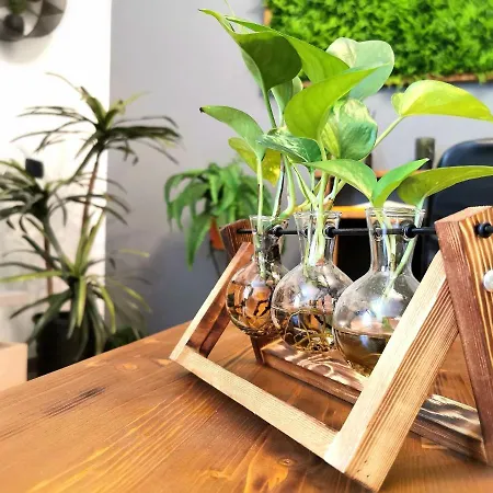 Holiday home Evergreen House *