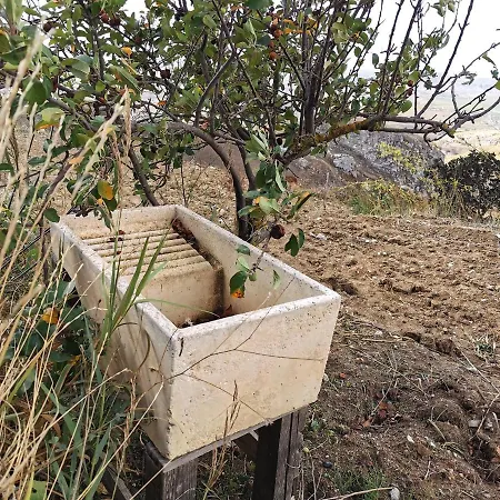 Evergreen House * Agrigento