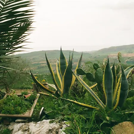 Evergreen House Holiday home