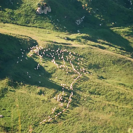 Evergreen House Agrigento