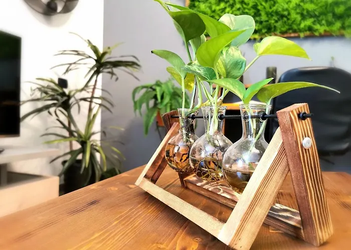 Будинок відпочинку Evergreen House *