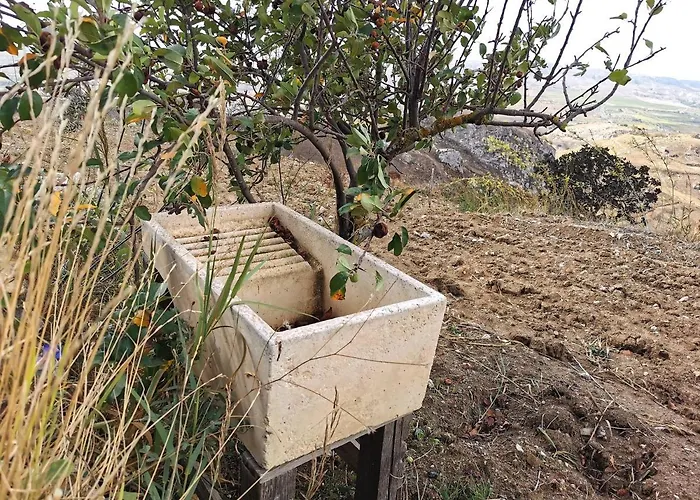 Evergreen House * Агрідженто