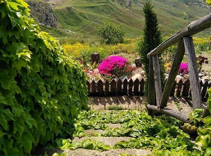 Evergreen House Агрідженто