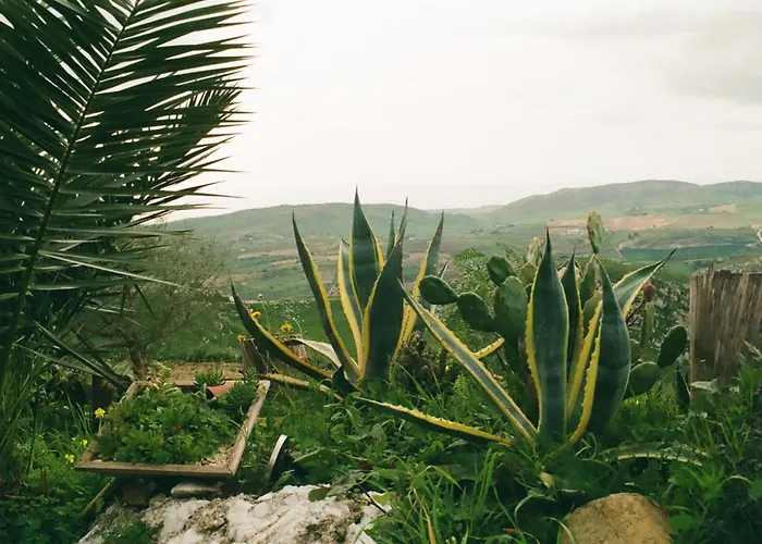 Evergreen House Будинок відпочинку